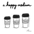 A Happy Medium A Happy Medium