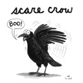 Scare Crow Scare Crow