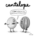 Cantelope
