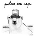 Polar Ice Cap