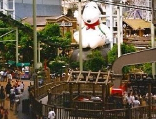 There’s a Place for Fun in Your Life