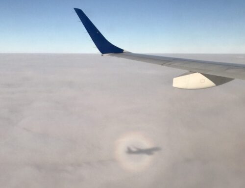 Airport Song, Finn-again style